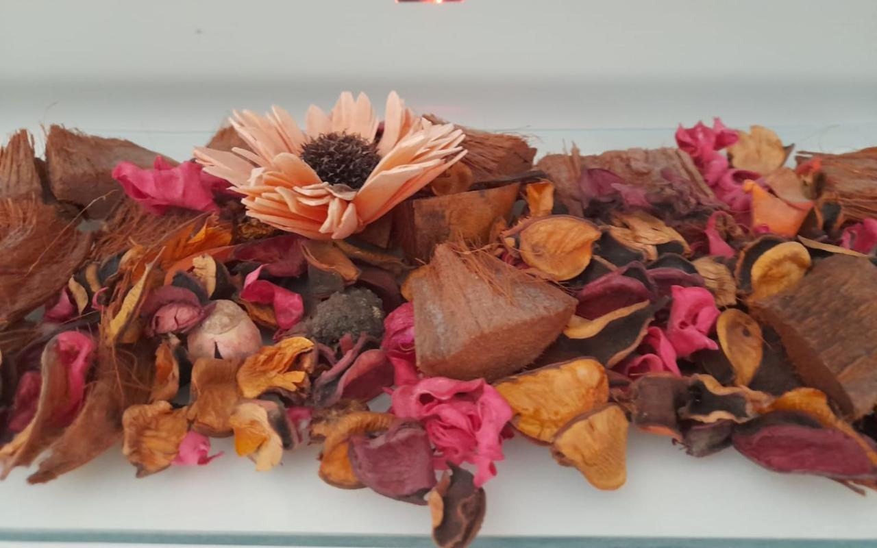 Apartmani Hermes 亚德里亚 外观 照片